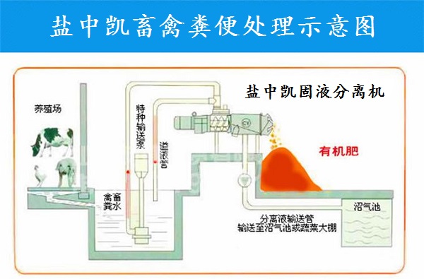 好色先生黄色软件